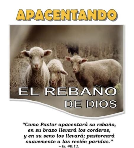 rebano _0215