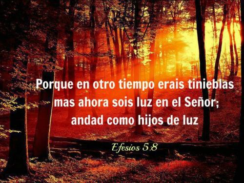 efesios 5 8