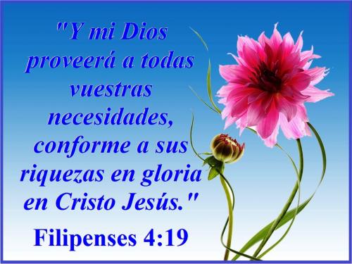 filipenses-4-vs-19-s