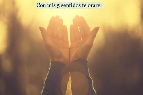 con mis 5 sentidos