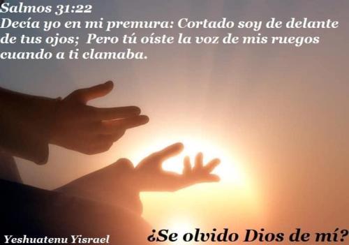 se ha okvidado Dios de mi_0212