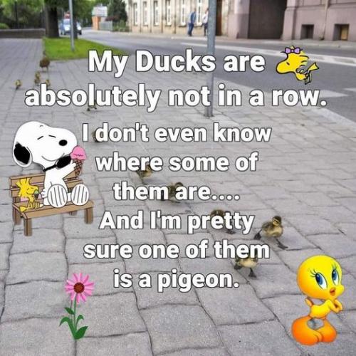1b