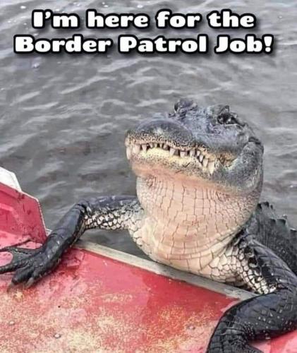 FB_IMG_1720500392235