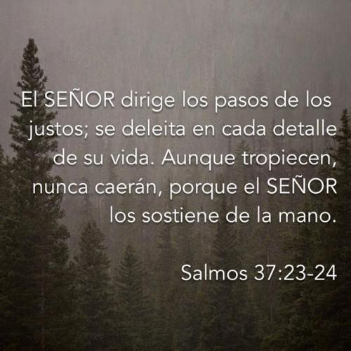 salmo 37 23 y 24