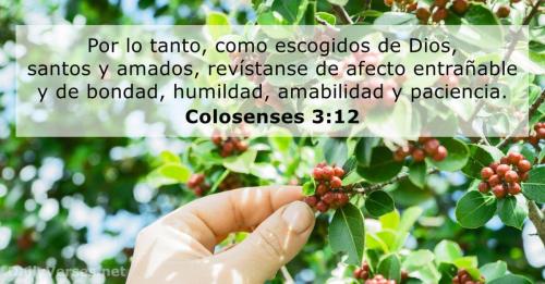colosenses-3-12-2