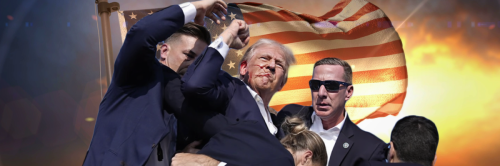 2641c412b2cd7a10