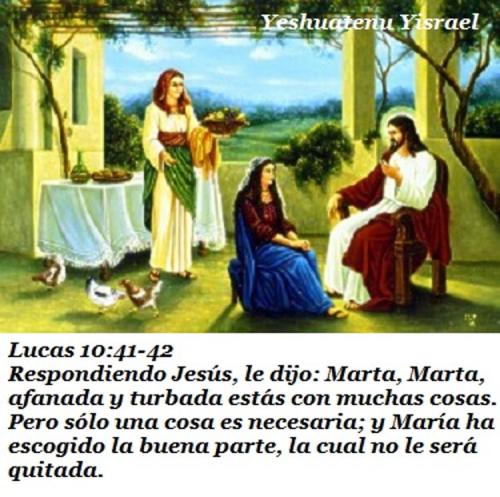jesus visia