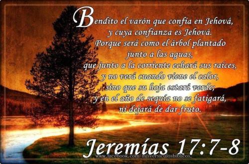 Jeremias 17_7-8