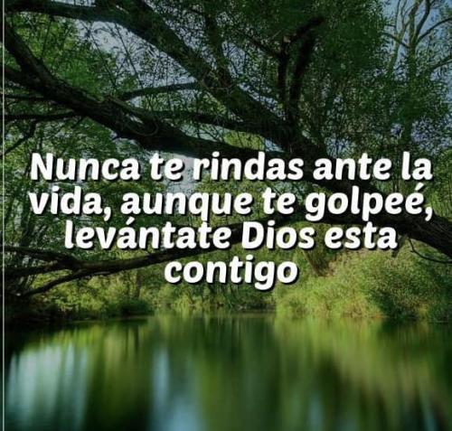 nunca te rindas