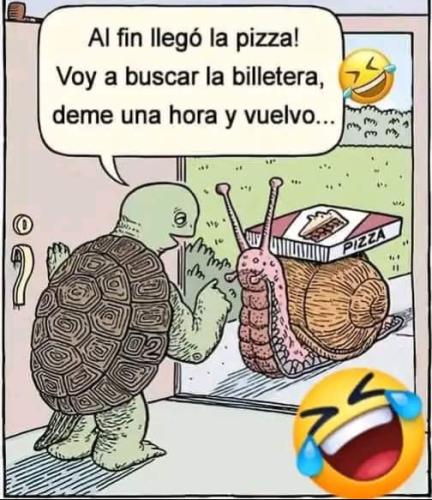 FB_IMG_1725058703287