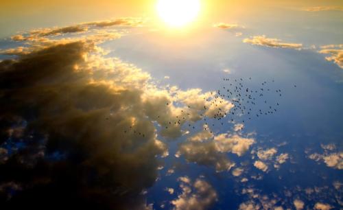 horizon-light-cloud-sky-sun-sunrise-527247-pxhere.com