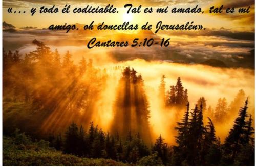 cantares 5