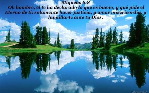 miqueas 6 8