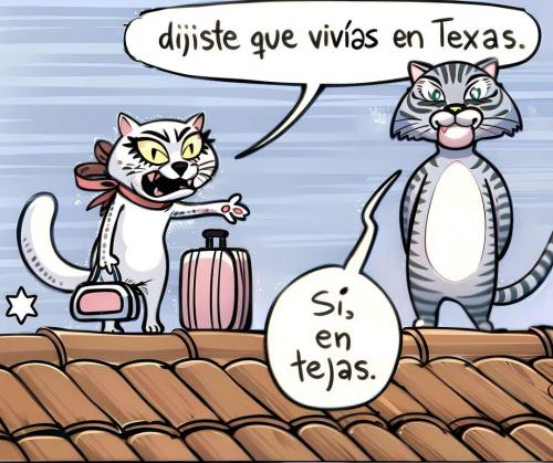 FB_IMG_1725222659877