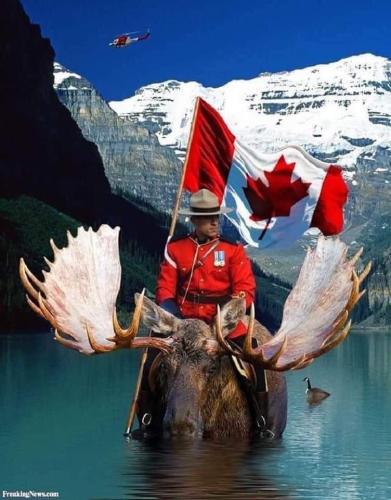 true canadian