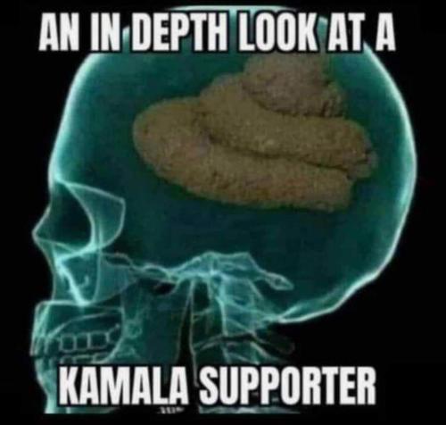 indepth look