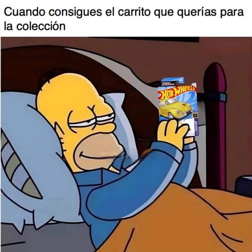 FB_IMG_1726426525684