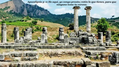 sardis copia