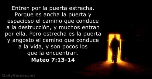 Mateo 7 13 y 14
