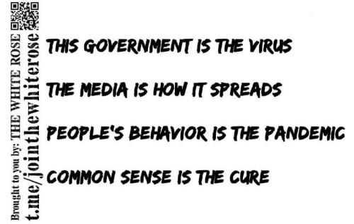 is the cure