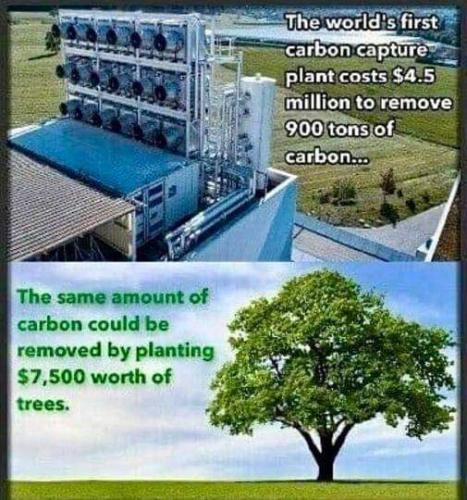 carbon capture
