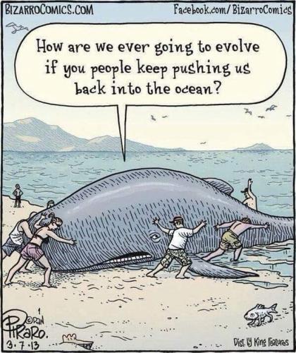 going to evolve