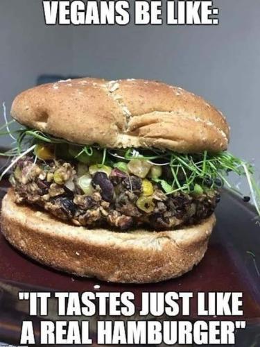 vegans be like