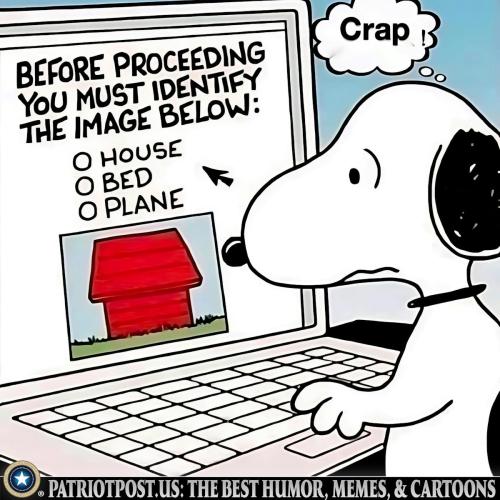 brfore proceeding