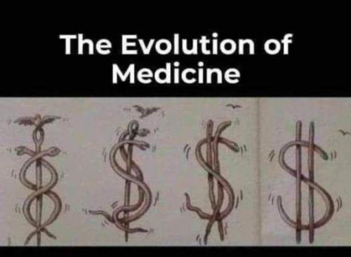 the evolution