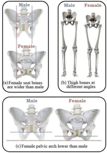 comparison