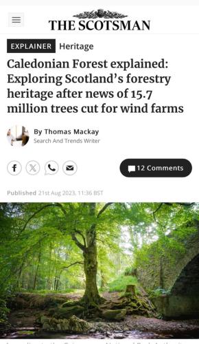 cut for wind farm