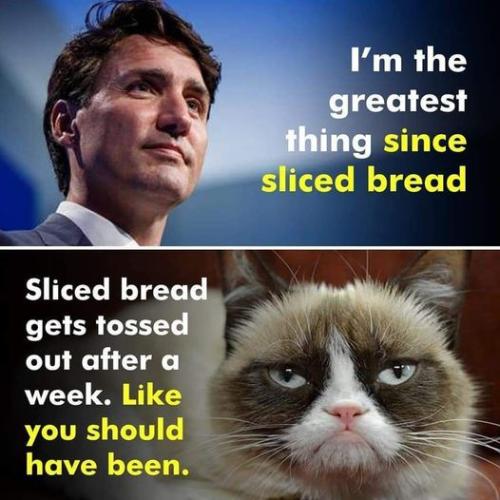 sliced bread