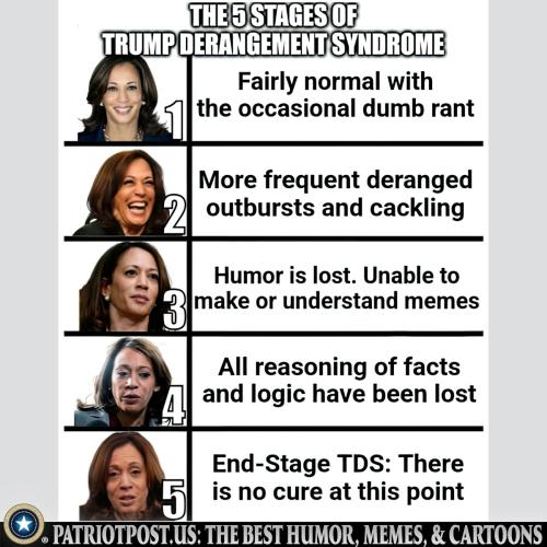 5 stages