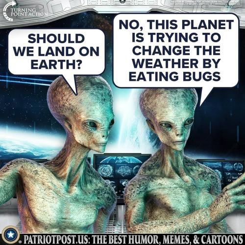 should we