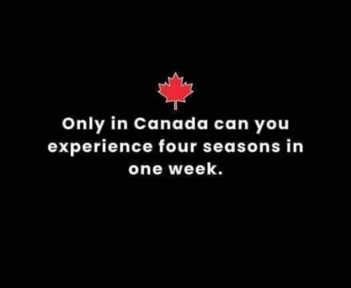 4 seasons