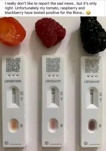 tested positive