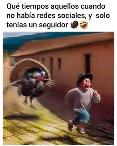 FB_IMG_1732738448435