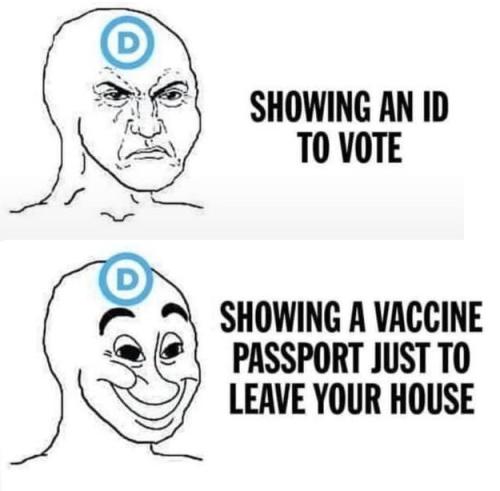 20241127_065656