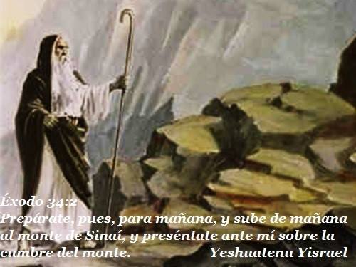 buenas nuevas