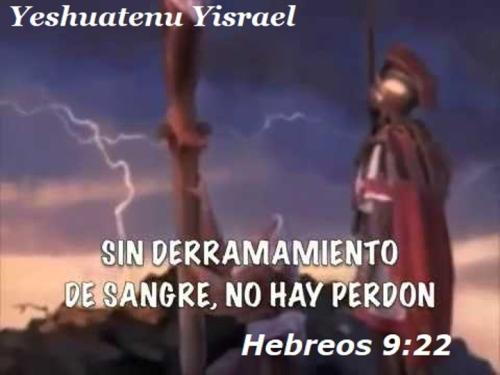 hebreos 9 22