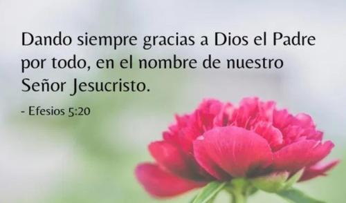 Efesios 5 20