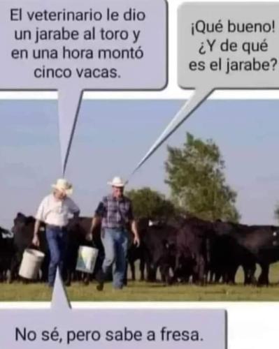 FB_IMG_1732667368553