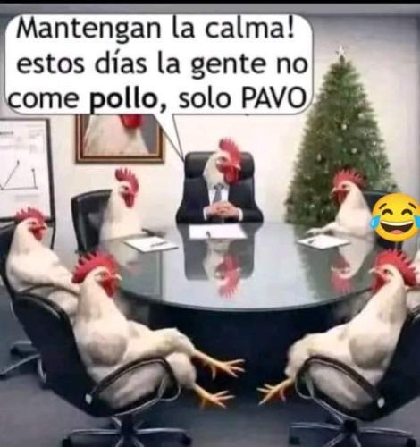 FB_IMG_1732051736300