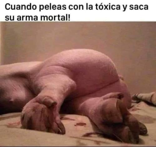 FB_IMG_1732763672691