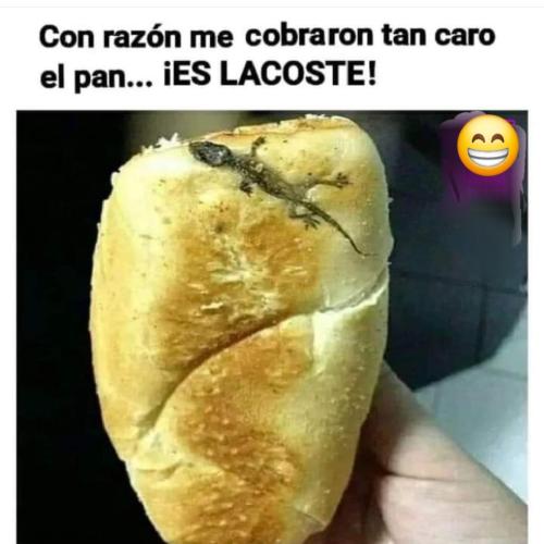 FB_IMG_1731117308809