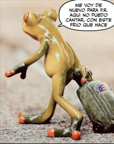 FB_IMG_1732669868034