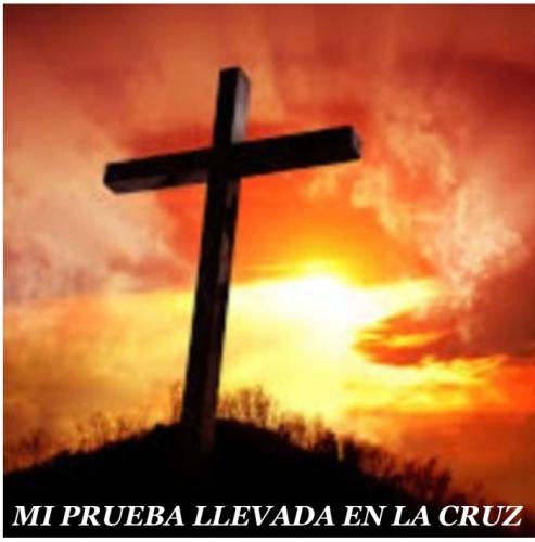 mi prueba llevada