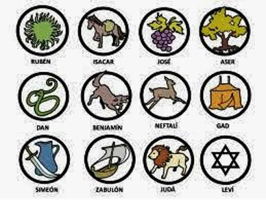 12 tribus