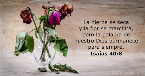 isaias-40-8