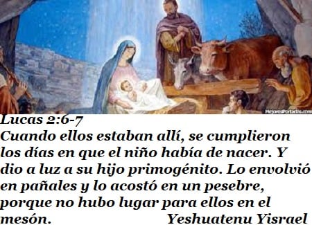navidad ultimo dia